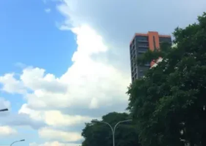 Últimas noticias de Ribeirão Preto