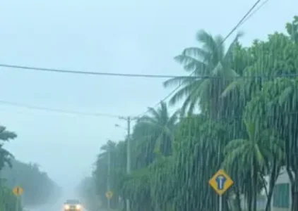 Últimas noticias de Ribeirão Preto