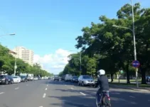 Dia Mundial Sem Carro