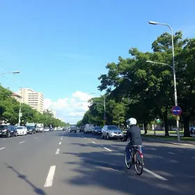Dia Mundial Sem Carro