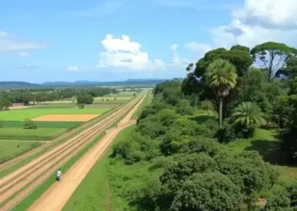 Últimas noticias de Ribeirão Preto