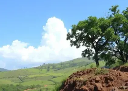 Últimas noticias de Ribeirão Preto