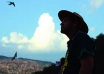 marcelo gasparini