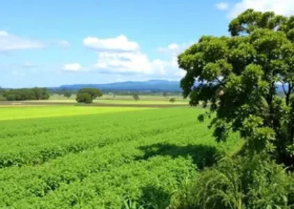 Últimas noticias de Ribeirão Preto
