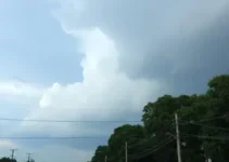 primavera em Ribeirão Preto