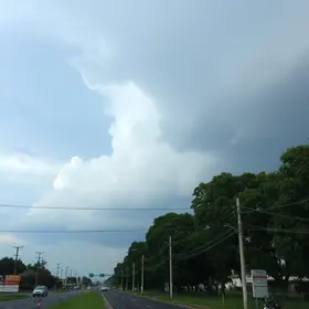 primavera em Ribeirão Preto