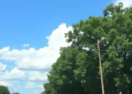 Últimas noticias de Ribeirão Preto