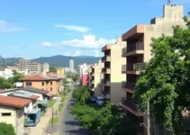 urbanização Ribeirão Preto
