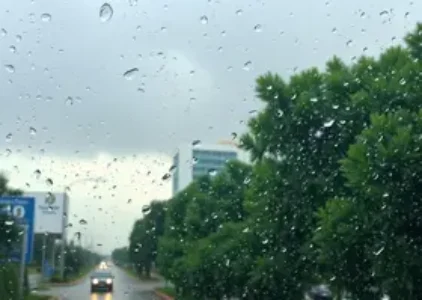 Últimas noticias de Ribeirão Preto