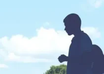 Apuração ao vivo dos votos em Ribeirão Preto