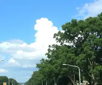 tempo em Ribeirão Preto