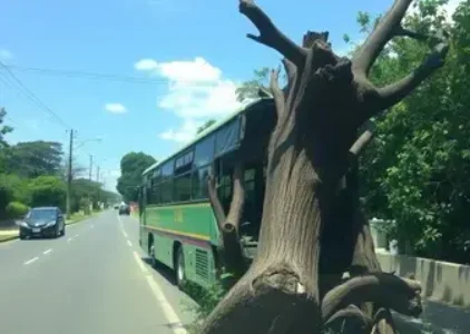 Últimas noticias de Ribeirão Preto