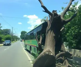 ônibus desgovernado