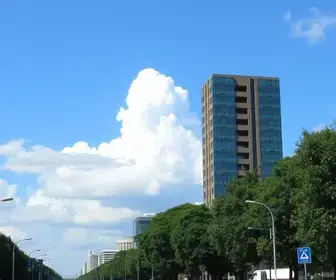Refis Ribeirão 2026