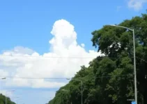Ribeirão Preto