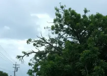 Últimas noticias de Ribeirão Preto